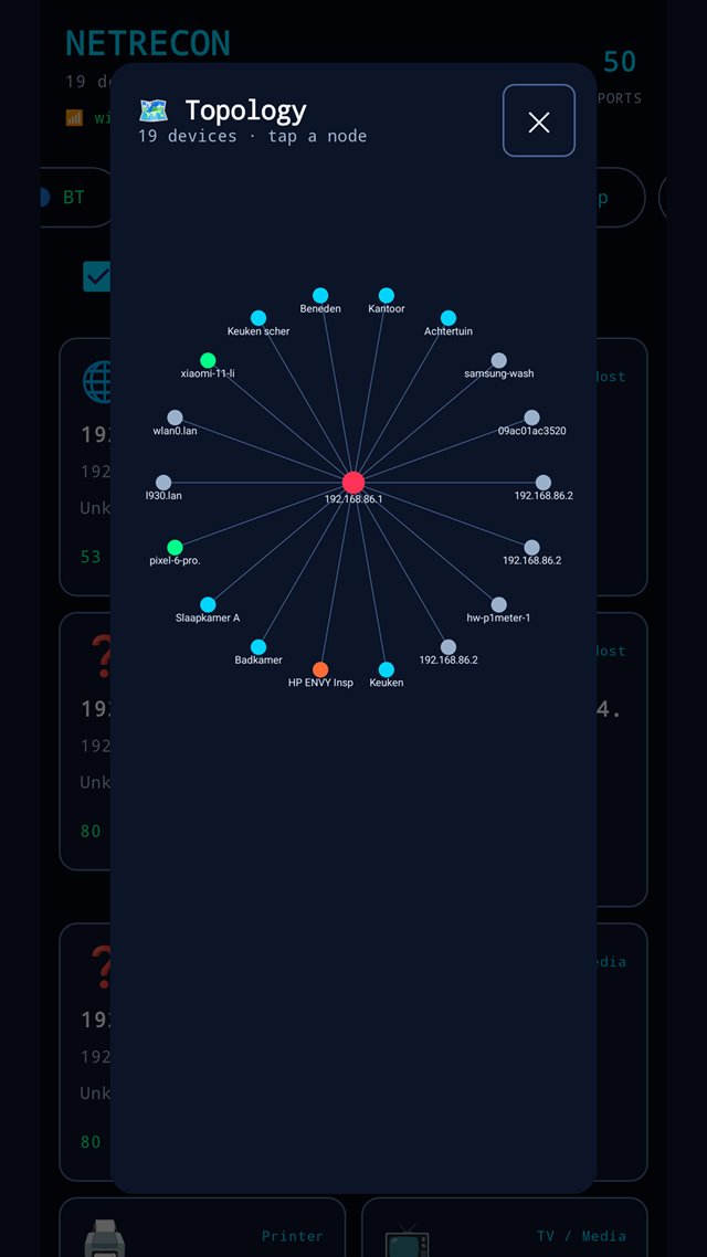 NetRecon's topology view: the 19 discovered devices drawn as labelled nodes radiating from the gateway at the centre.